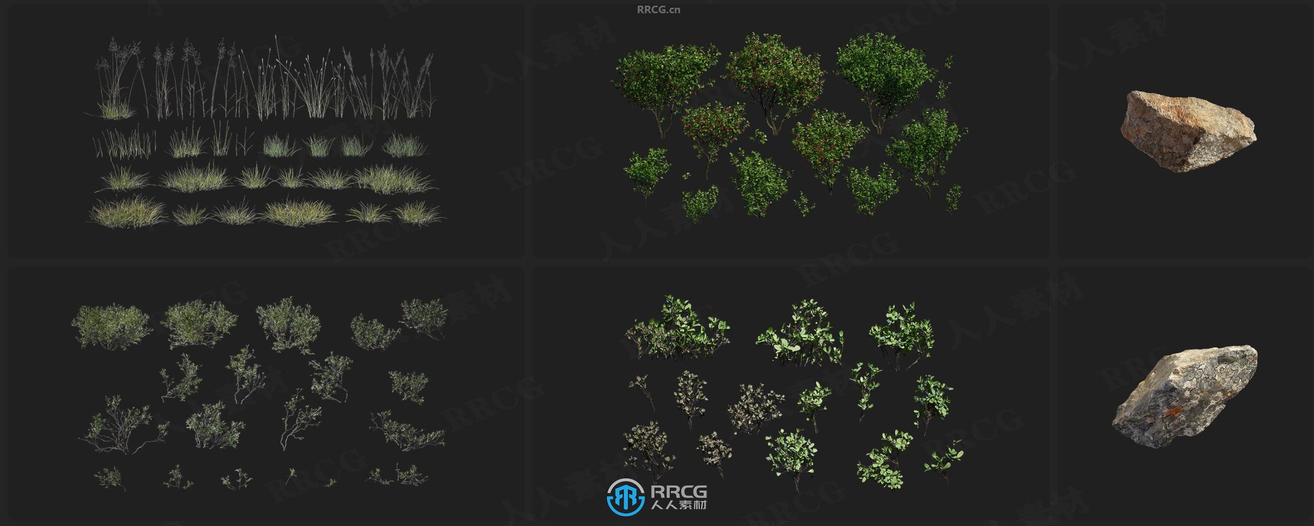 Megascans苔藓岩石植物巨石相关3D模型与贴图合集