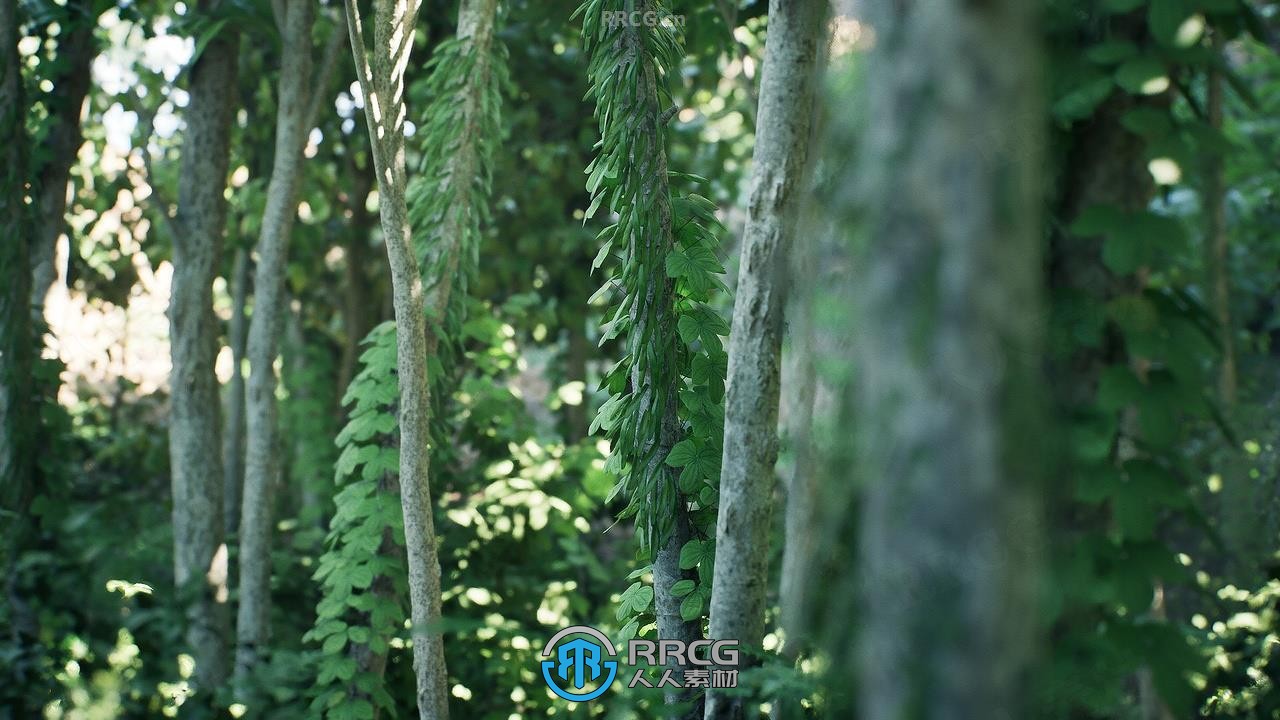 逼真热带丛林岛屿环境场景UE游戏素材