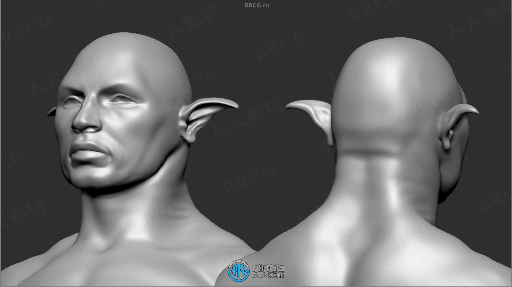 50组人形生物耳朵Zbrush IMM笔刷与3D模型合集