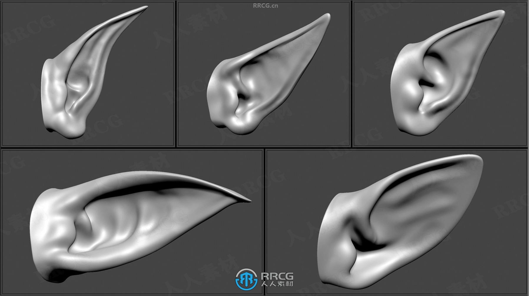 50组人形生物耳朵Zbrush IMM笔刷与3D模型合集