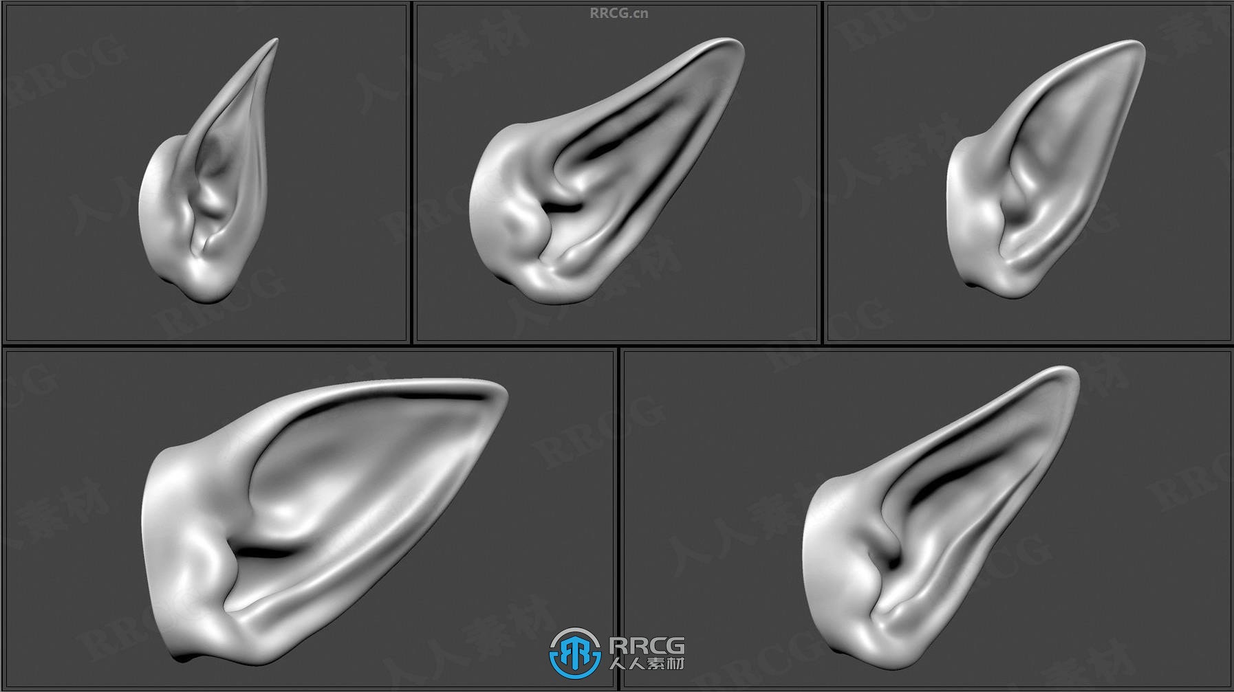 50组人形生物耳朵Zbrush IMM笔刷与3D模型合集