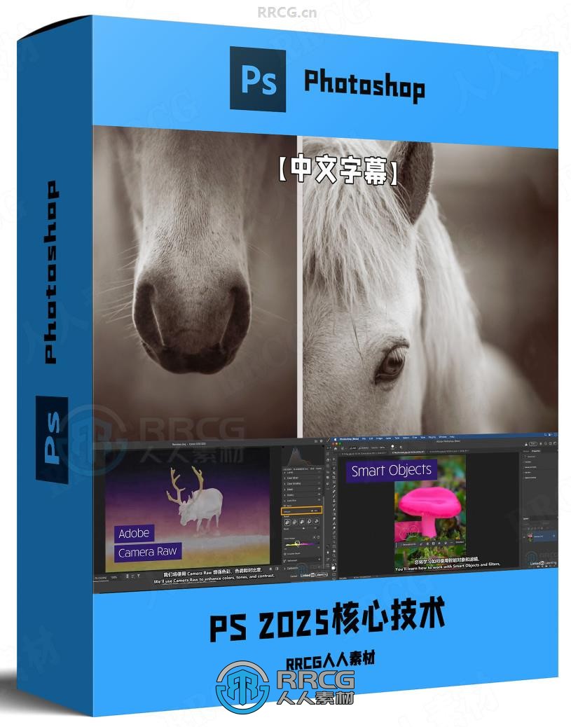 【中文字幕】Photoshop 2025全面核心技术训练视频教程