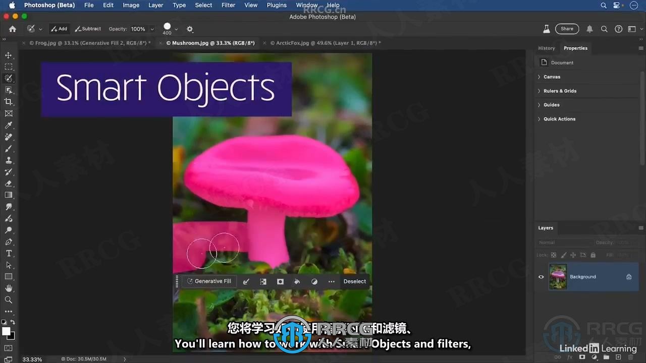 【中文字幕】Photoshop 2025全面核心技术训练视频教程