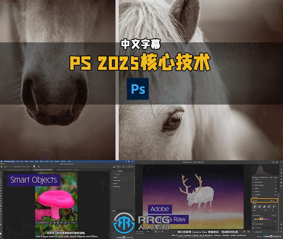 【中文字幕】Photoshop 2025全面核心技术训练视频教程