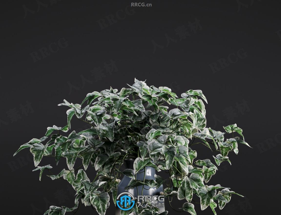 20组高质量室内植物花卉盆栽3D模型合集 Evermotion第280季