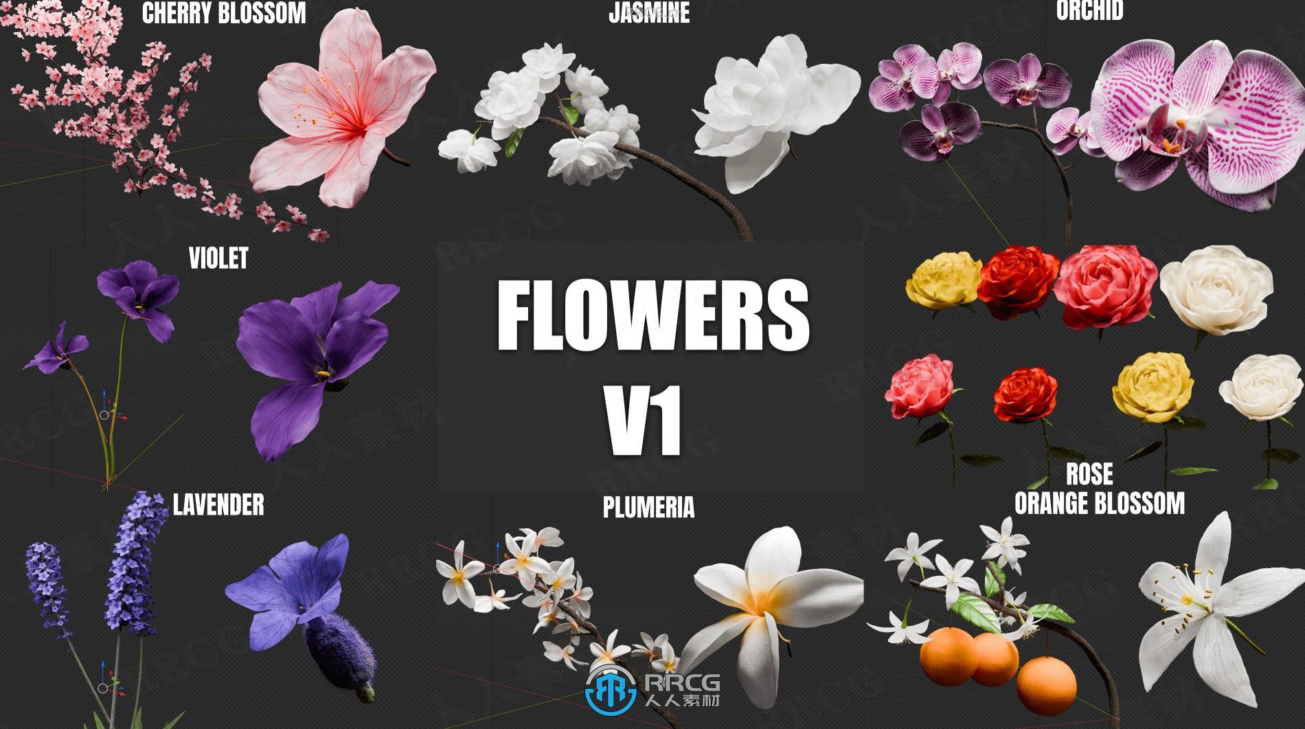 Blooming Flowers逼真花卉模型动画制作Blender插件