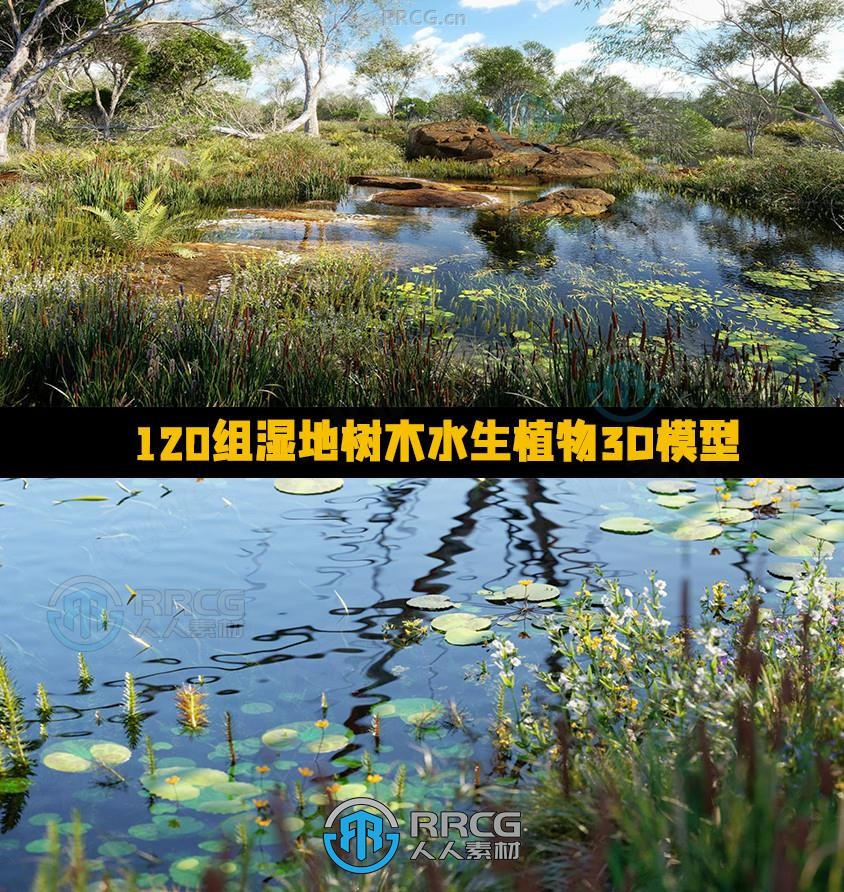 120组湿地树木水生植物3D模型合集 GlobePlants第46季