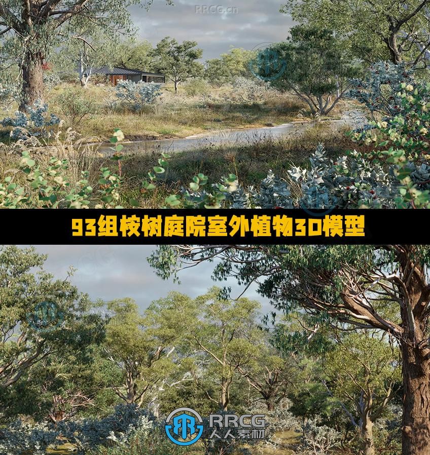 93组桉树庭院室外景观树木植物3D模型合集 GlobePlants第62季