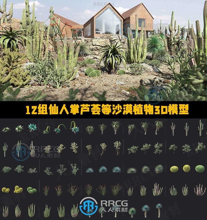 12组仙人掌芦荟龙舌兰等沙漠植物3D模型合集 MT第138季