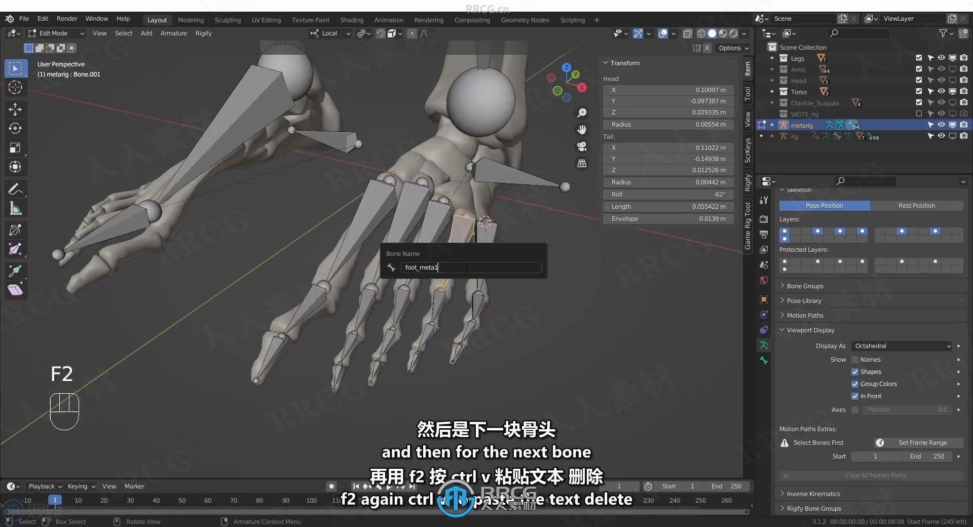 【中文字幕】Blender中Rigify插件骨骼绑定动画制作视频教程