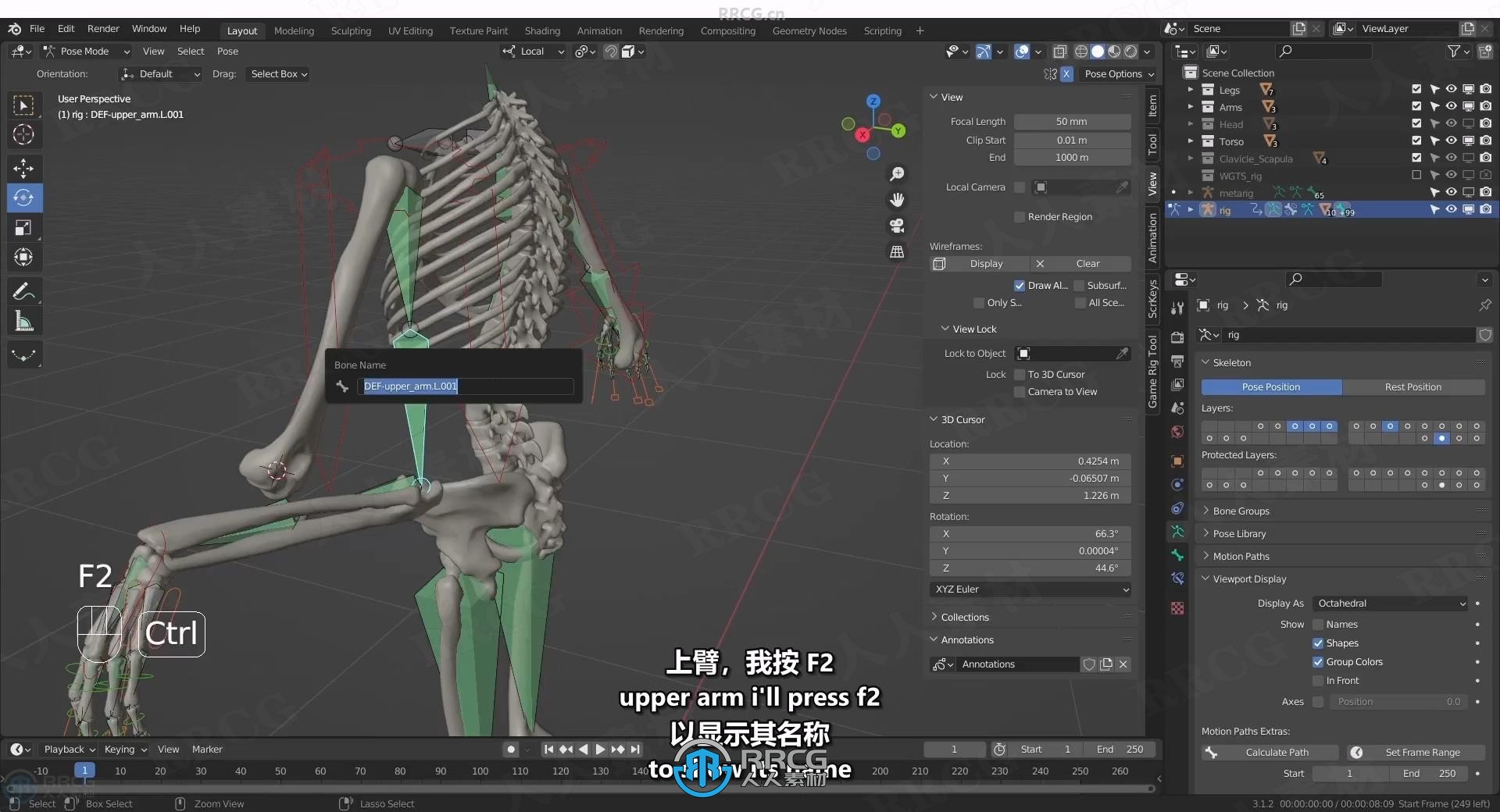 【中文字幕】Blender中Rigify插件骨骼绑定动画制作视频教程