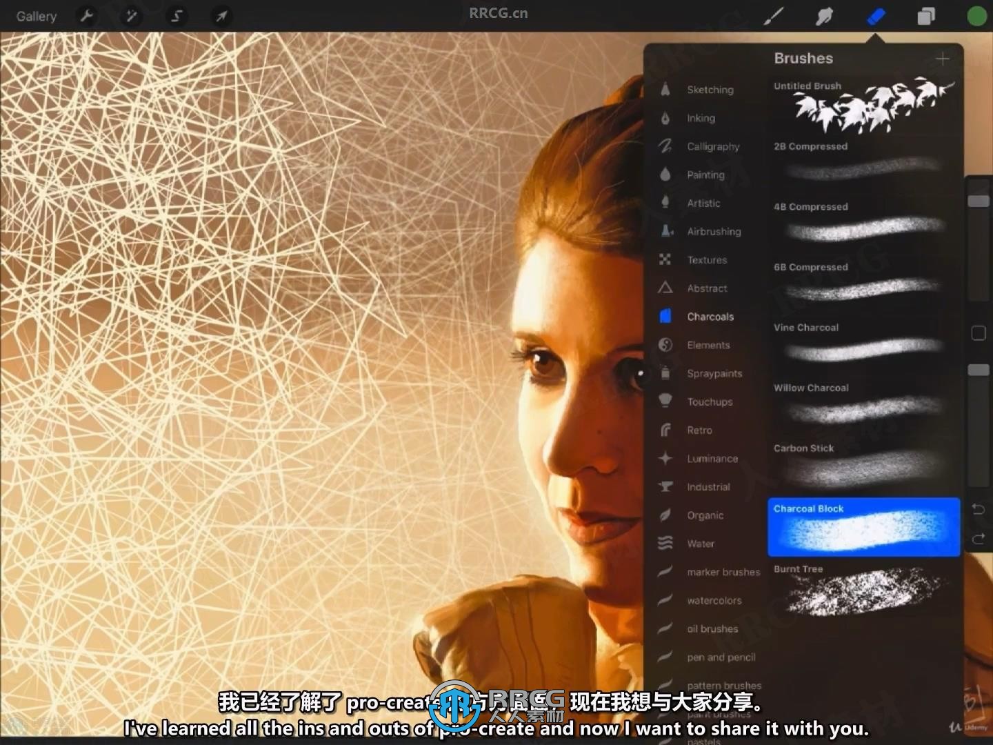 【中文字幕】Procreate 4.1在iPad Pro上数字绘画视频教程