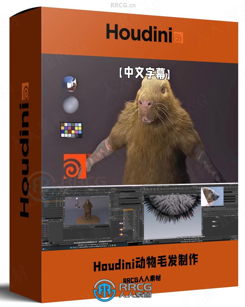 【中文字幕】Houdini逼真动物毛发制作技术视频教程