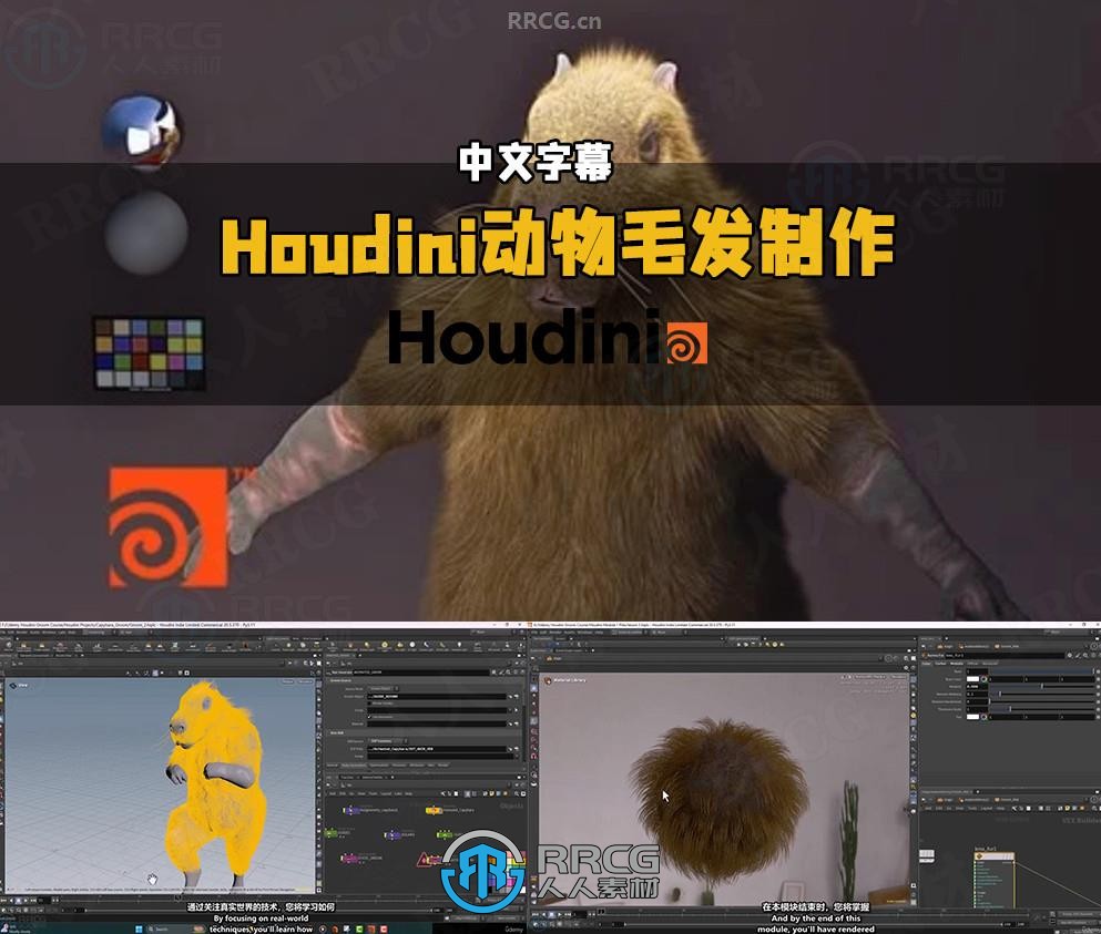 【中文字幕】Houdini逼真动物毛发制作技术视频教程