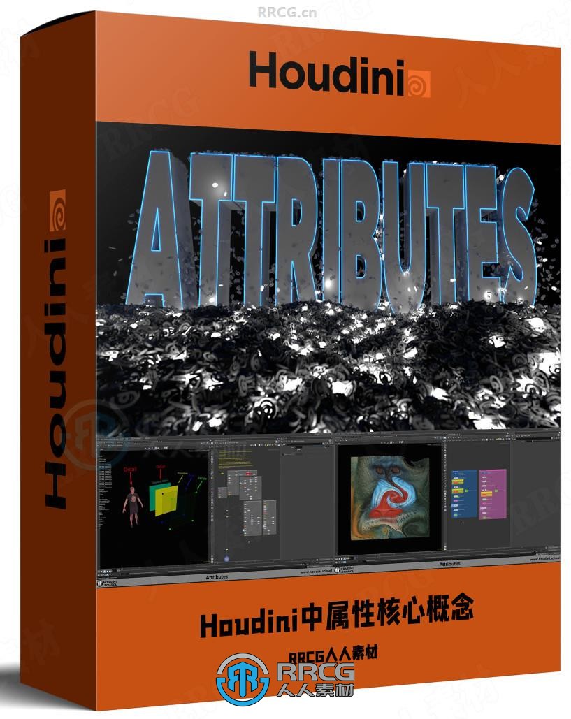 Houdini中Attributes属性核心概念全面解析视频教程