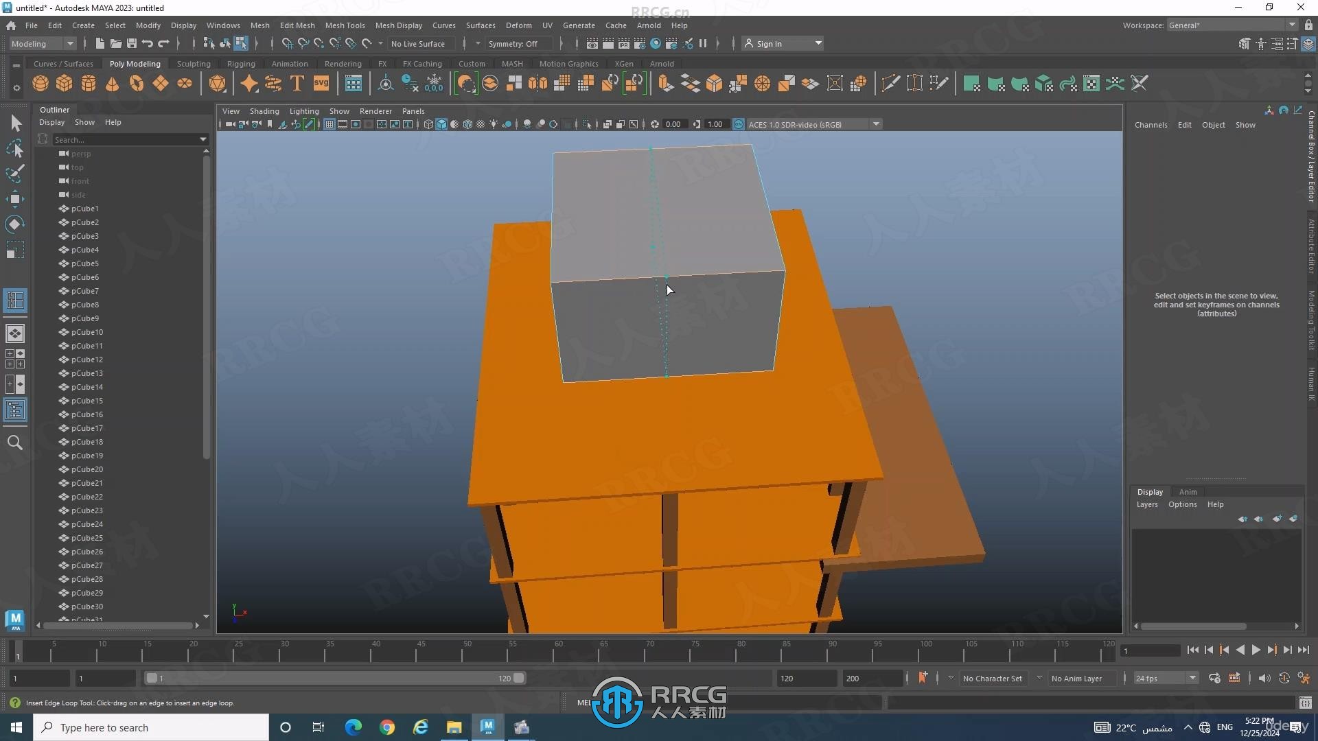 Autodesk Maya 2025从零开始初学者入门训练视频教程