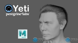Peregrine Labs Yeti皮毛羽毛Maya插件V5.1.0版