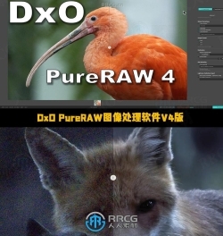 DxO PureRAW图像处理软件V4.8.0.54版