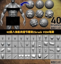 40组人体肌肉细节雕刻Zbrush VDM笔刷合集