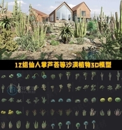 12组仙人掌芦荟龙舌兰等沙漠植物3D模型合集 MT第138季