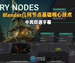 【中英双语】Blender几何节点基础核心技术训练视频教程