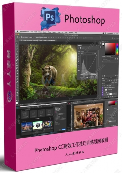 Photoshop CC高效工作技巧训练视频教程