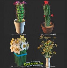 《高精度花草植物3D模型合辑》3DDD Flowers Models