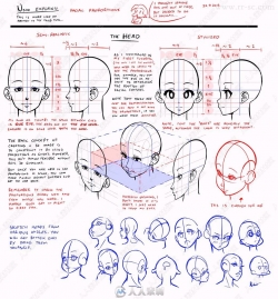 漫画人体结构比例辅助线绘画参考图