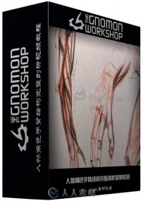 人物角色手臂结构完整剖析视频教程 The Gnomon Workshop Anatomy Workshop Volume ...