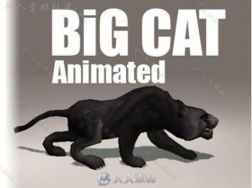 动画大猫哺乳动物角色模型Unity3D素材资源