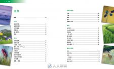 德国,同类摄影术畅销第一名,《在照片中学习自然摄影》.pdf