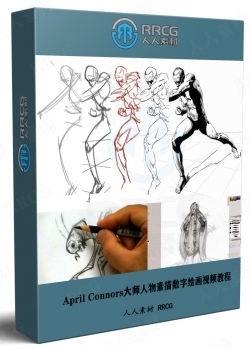 April Connors大师人物素描数字绘画基础技巧训练视频教程