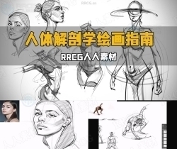 人体解剖学骨骼肌肉绘画完全指南视频教程