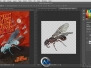 AI与PS创意结合训练视频教程 Lynda.com Photoshop for Designers Working with Il...