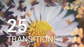 美丽优雅的蝴蝶纷飞视频转场效果AE模板Videohive Butterflies Transitions 12016750