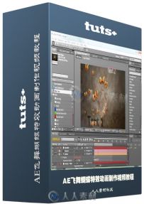AE飞舞蝴蝶特效动画制作视频教程 Tutsplus Create An Astonishing Butterfly Anima...