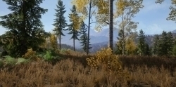 逼真高质量森林草地花朵岩石等环境场景UE游戏素材