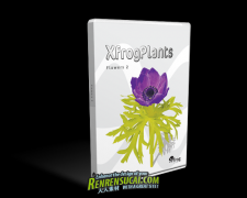 《花朵3D模型合辑Vol.2》XfrogPlants FLOWERS 2