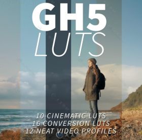 GH5luts影视级调色预设合辑 NEUMANN FILMS GH5 LUTS