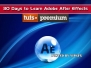 《AE技术30天速成视频教程》Tuts+ Premium 30 Days to Learn Adobe After Effects