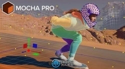 Boris FX Mocha Pro 2024.5影视追踪插件V11.5.1版