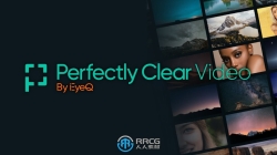 Perfectly Clear Video视频增强软件V4.6.1.2675版