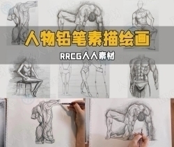 人体解剖学人物铅笔素描绘画技术训练视频教程