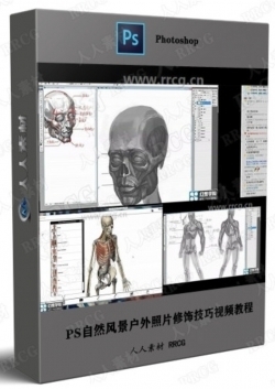 人体骨骼结构解剖初学者数字绘画训练视频教程