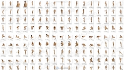 306张男性模特姿势人体绘画艺术高清参考图像合集