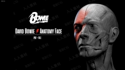 Zbrush英国摇滚歌手David Bowie脸部肌肉雕刻3D模型