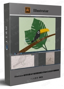 Illustrator初学者基本手绘草图创建矢量插图过程技术视频教程