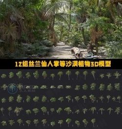 12组丝兰仙人掌芦荟龙舌兰等沙漠植物3D模型合集 MT第148季