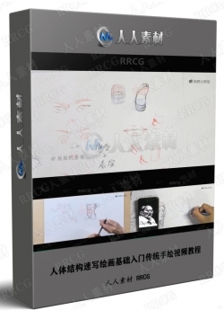 人体结构速写绘画基础入门传统手绘视频教程