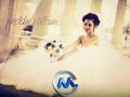 videohive Wedding Album